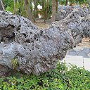 ���� Sergey, ������ - ��������� 14 ������� 2019 � ������ ������ ��������