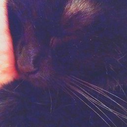 ����, ������, 33 ����