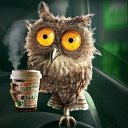 ���� ����, ������ - ��������� 14 ������ 2019 � ������ ���� ����������