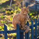 ���� ���������, ���������, 51 ��� - ��������� 30 ������� 2018 � ������ ���� ����������