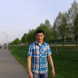 ����, �����-���������, 41 ���