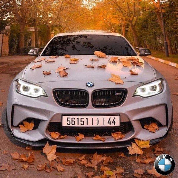 BMW M2 F87