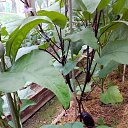 ���� ���������, ������ - ��������� 24 ������� 2018 � ������ ���� ����������