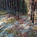 ���� �������, ������ ��������, 58 ��� - ��������� 26 �������� 2018 � ������ ���� ����������