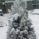 ���� ����, ������ �������� - ��������� 9 ������� 2019 � ������ ���� ����������