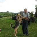 ���� ��������, �����-�������, 88 ��� - ��������� 18 ����� 2019 � ������ ���� ����������