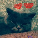 ���� ��&szlig;&oslash;�&atilde;&trade;, �����, 28 ��� - ��������� 14 ������� 2018 � ������ ���� ����������