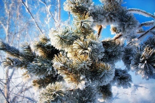  - 30  2018  16:31 - 2