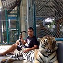 ���� �������, ���������, 33 ���� - ��������� 2 ������� 2018 � ������ ���� ����������