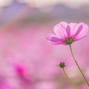 ���� �����, ������� - ��������� 30 ������� 2018 � ������ ���� ����������