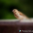 ���� ������, ������, 49 ��� - ��������� 23 ���� 2018 � ������ �������� �������� ����