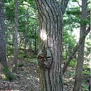  ••,  -  18  2018   - ))