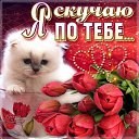 ���� ��������, �����-���������, 57 ��� - ��������� 8 ������� 2018 � ������ ���� ����������