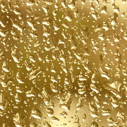 Svetlana, ����, 53 ����