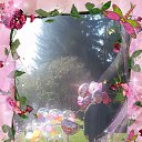 ���� ����������, �����������, 51 ��� - ��������� 3 ������ 2018