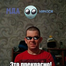 ����, ���������, 44 ����