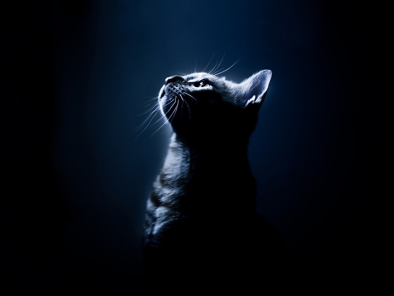  -  - 15  2018  16:43