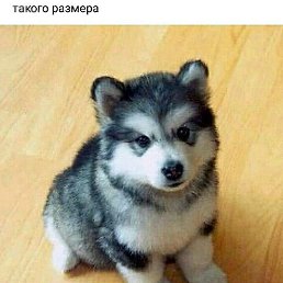 ���� �, ������, 47 ��� - ��������� 1 ������� 2019