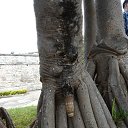  ••,  -  13  2018   - ))