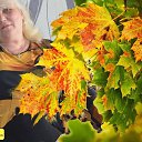 ���� Lyubov Perevezenceva, ��������� - ��������� 26 ������� 2018 � ������ ���� ����������