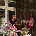 ���� ����, ���������� - ��������� 5 ������� 2018 � ������ ���� ����������