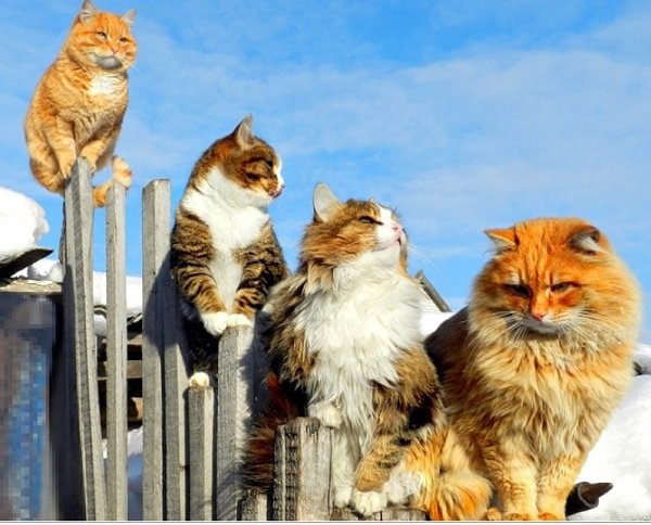  -  - 28  2018  16:41