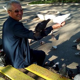 �������, ������� ������, 47 ���