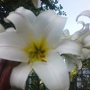 ���� �������., ����� - ��������� 20 ������� 2019 � ������ ���� ����������