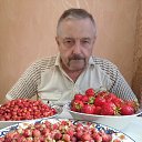 ������� ���� �� ������� ���� ����� ����