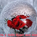 ���� �����, �������� - ��������� 25 ������ 2019 � ������ ������ ��������
