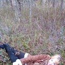 ���� �����, ��������, 60 ��� - ��������� 4 ������� 2019 � ������ ���� ����������