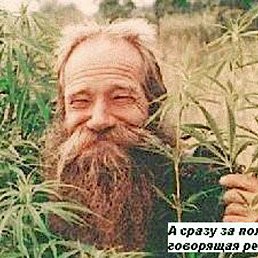 ���� �����, ������, 41 ��� - ��������� 19 ����� 2019