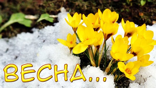 - Без сомнения – Весна! -.А это что? Звенят капели! Тик-так, тик-так – часы, Весна? И красит в ...
