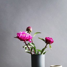 ������, ���������, 47 ���