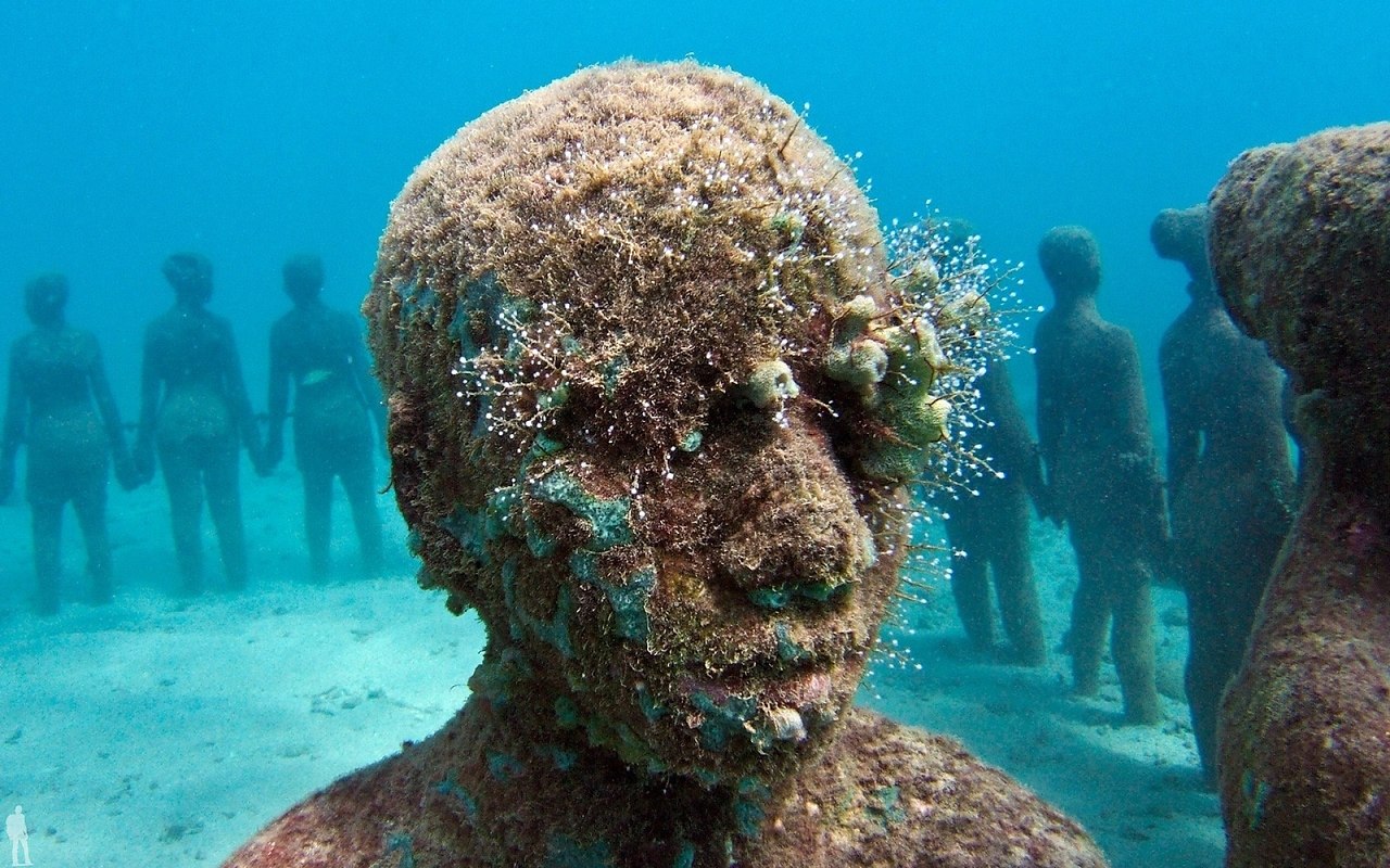    (The Underwater Sculpture Park) -  ,    ...