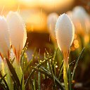 ���� Tanya, ������� - ��������� 7 ����� 2019 � ������ ������ ��������