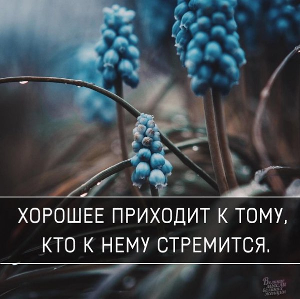     - 22  2018  16:50