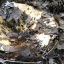  , , 60  -  4  2018   ,  ,04.08.18.