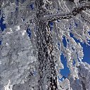 ���� �������, ������������, 52 ���� - ��������� 11 ������� 2019 � ������ ���� ����������