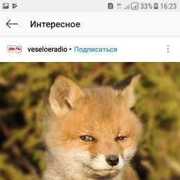 ����, ������