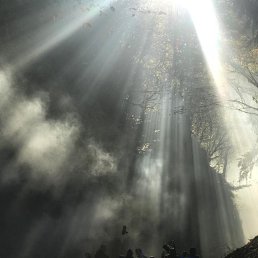 ���� Dany, ������, 50 ��� - ��������� 23 ������ 2018