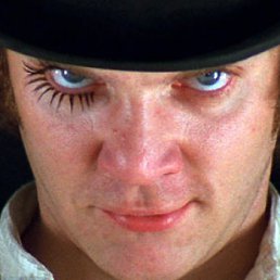 ����, ������, 44 ����