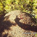 ���� �����, �������, 65 ��� - ��������� 15 ������� 2018 � ������ ���� ����������