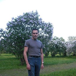 �����, ������, 44 ����