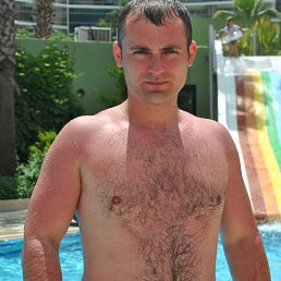 ���������, �����, 41 ���