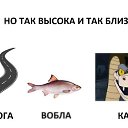 ���� ����, ����������, 49 ��� - ��������� 24 ������� 2018 � ������ ������ ��������