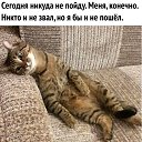 ���� ��������, ������, 55 ��� - ��������� 5 ������ 2019 � ������ ������ ��������