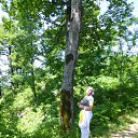 ���� �������, ������, 65 ��� - ��������� 27 ���� 2018 � ������ ���� ����������