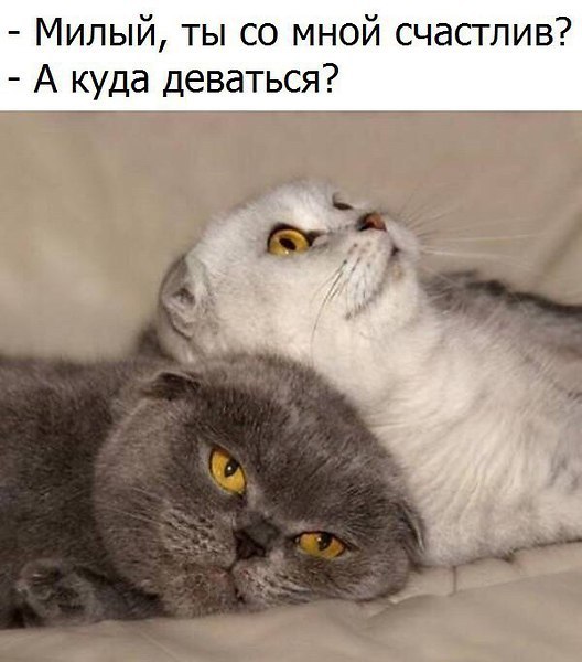 ���������... - 20 ������� 2018 � 08:39