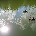 ���� �����, ������, 69 ��� - ��������� 28 ������� 2018 � ������ ������ ��������